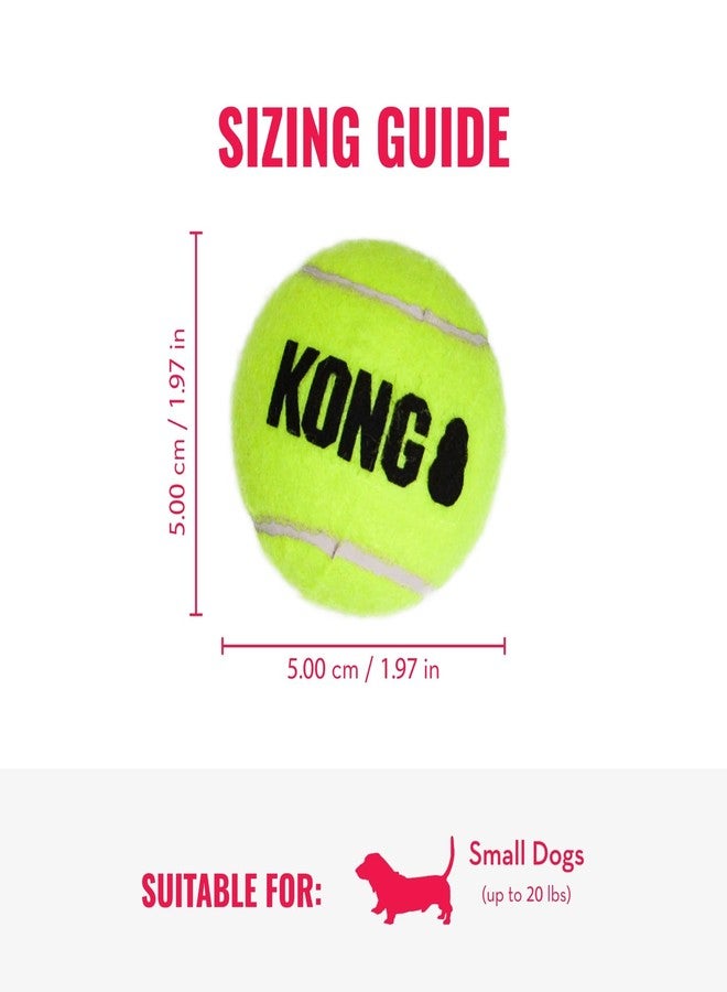 كونج مجموعة ألعاب كونغ كوزي علي التمساح وكرات سكوير إير (3 قطع) - ألعاب جلب ومضغ ممتعة للكلاب - لعبة تمساح ناعمة للعب في الأماكن المغلقة - كرات ألعاب متينة للكلاب للعب في الهواء الطلق - مناسبة للكلاب الصغيرة - Image 4